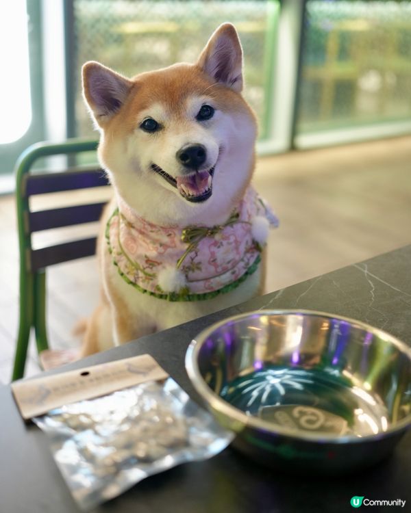 🫖Pet-friendly飲茶推介🥢