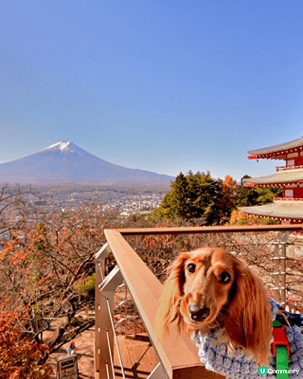 富士山係東京必到景點