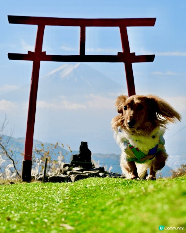 富士山係東京必到景點