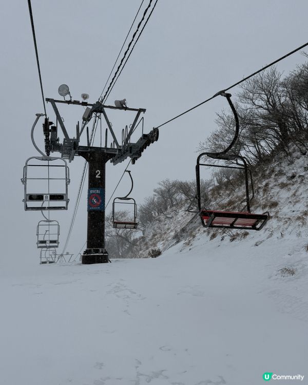 呢次去關西近郊睇雪，真係比想像中更難忘。比起大阪市中心嘅熱鬧...