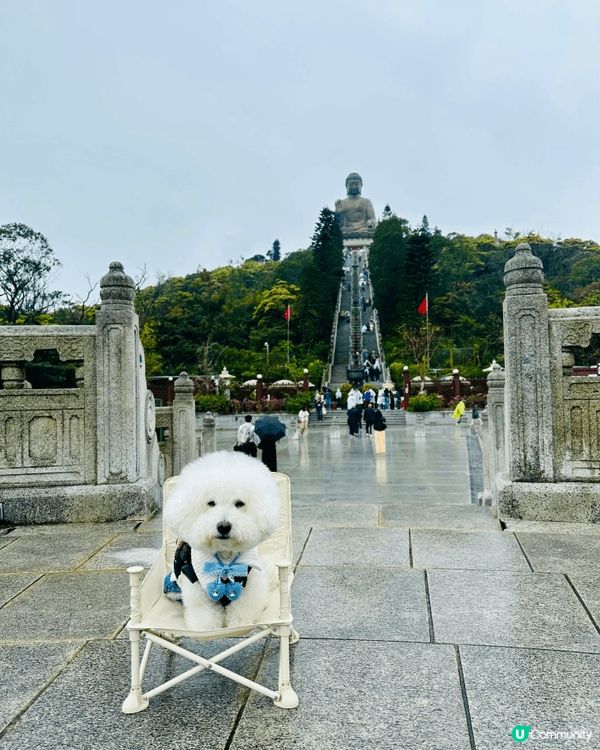 與毛小孩留港消費， 大嶼山是一個非常適合嘅選擇， 好多寵物友...