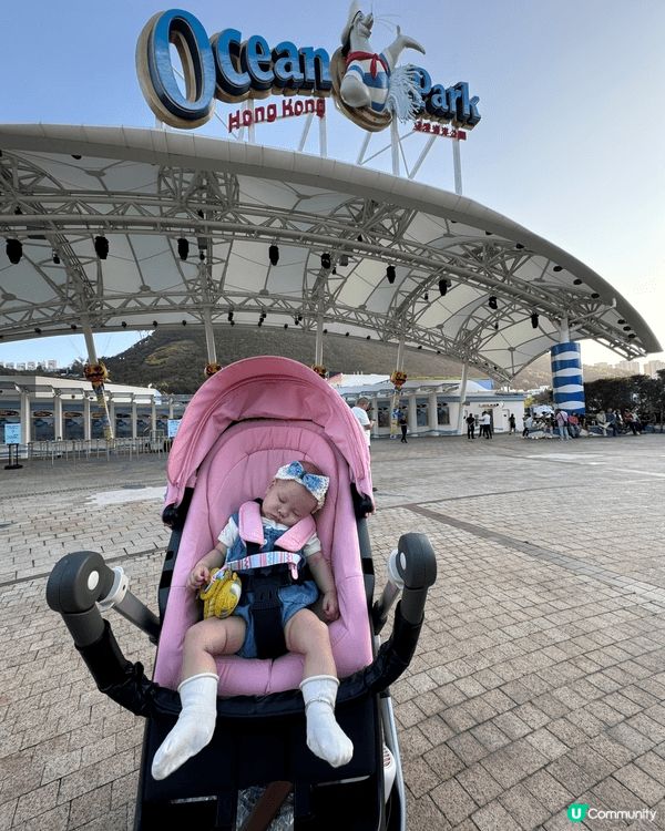 海洋公園好啱一家大細一齊去玩，生日當天入去玩仲係免費添呀，我...