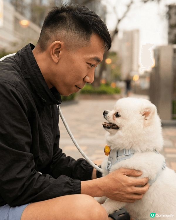 Mochi係一隻非常可愛、毛茸茸的白色松鼠狗，圖片記錄了牠與...