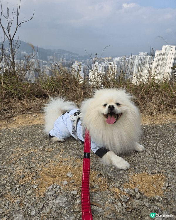 沙田蝌蚪坪行山，南丫島行山，西貢WM酒店staycation...
