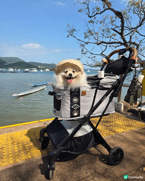沙田蝌蚪坪行山，南丫島行山，西貢WM酒店staycation...