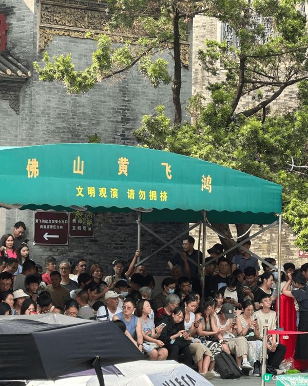佛山黄飛鴻醒狮表演、廣州第一海關、深圳新春花海景置