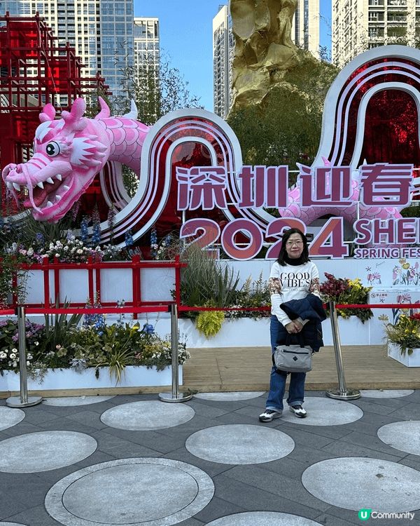 佛山黄飛鴻醒狮表演、廣州第一海關、深圳新春花海景置