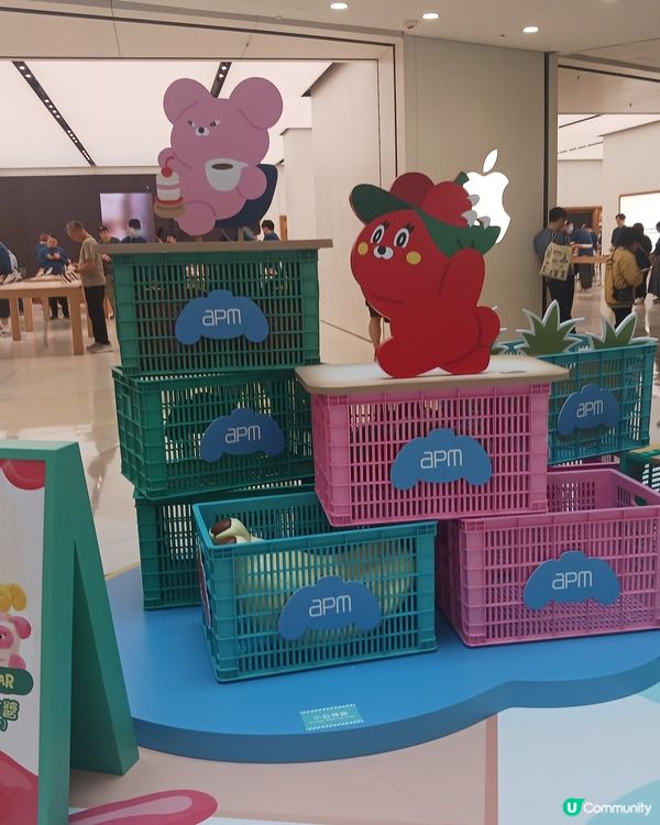 APMXWasabi Bear快閃店~