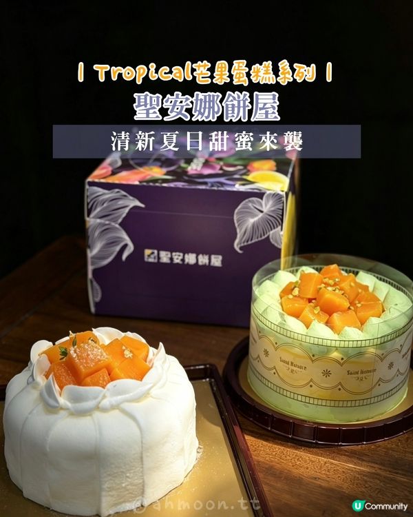 聖安娜餅屋｜Tropical芒果蛋糕系列，清新夏日甜蜜來襲！