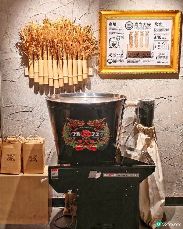 新推🎊滋味🍅番茄紅燴🥩漢堡排