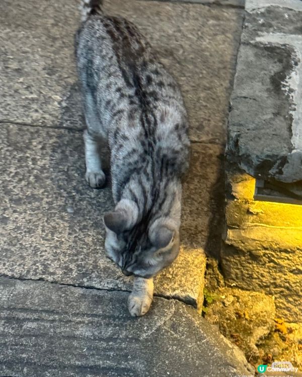 北山舊巷，味蕾爆擊！🤤