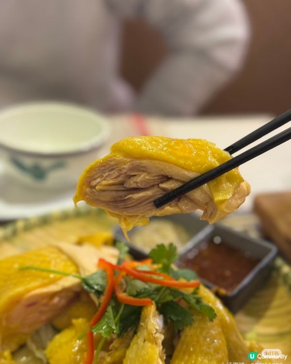 荃灣金屋泰國菜！🤤🍽️