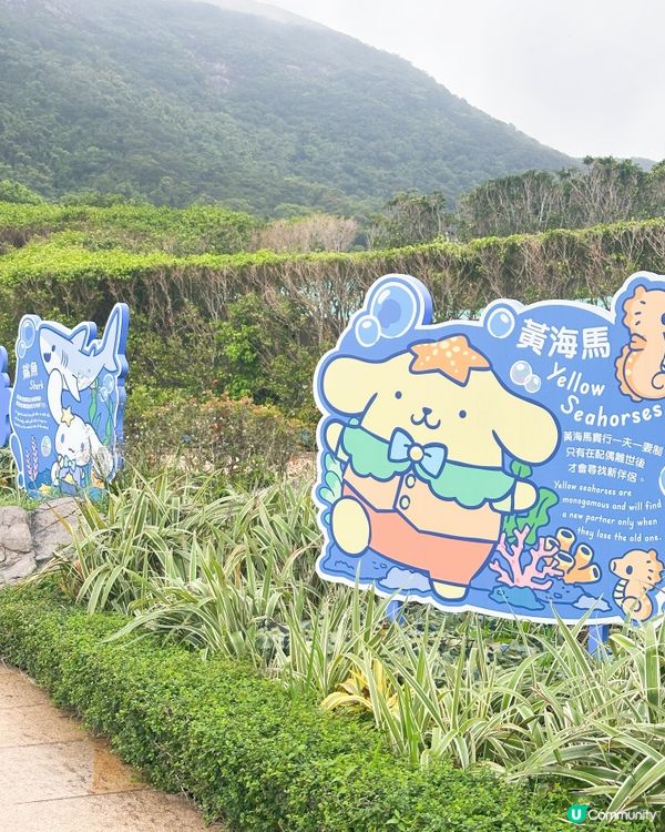 Ocean Park x Sanrio