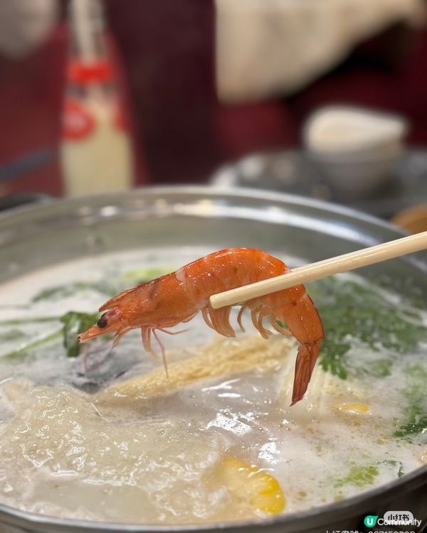 荃灣火鍋🥳無限時！必食燒鴨😋