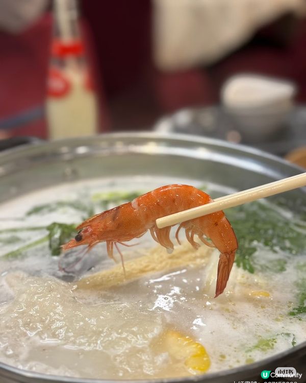 荃灣火鍋🥳無限時！必食燒鴨😋