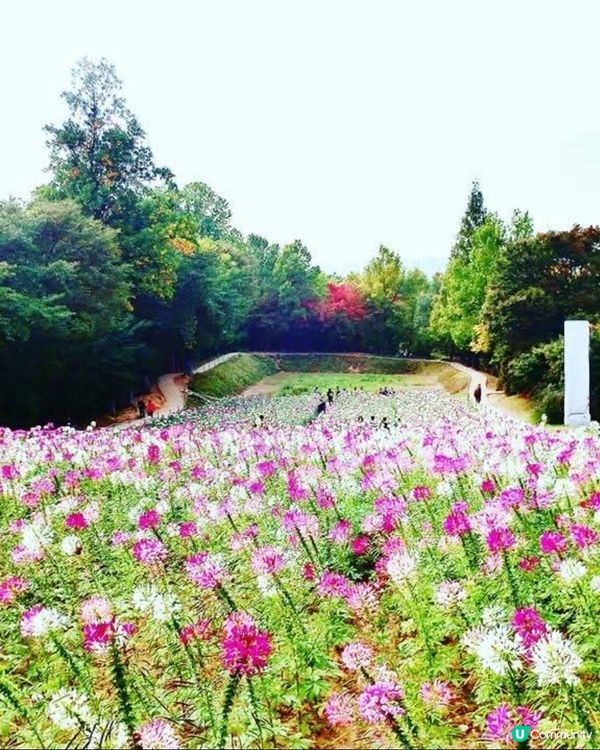 韓國奧林匹克公園