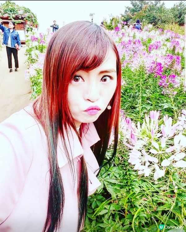 韓國奧林匹克公園