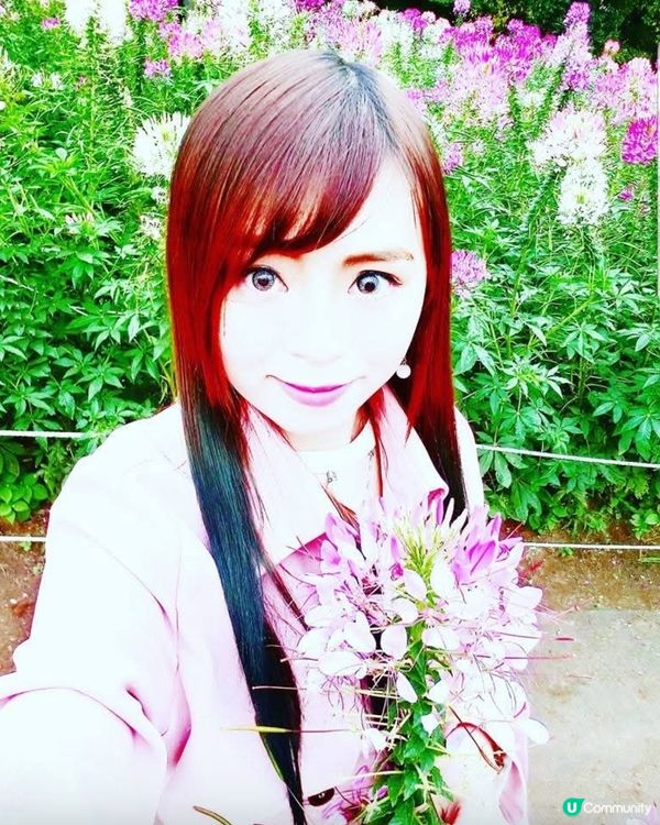 韓國奧林匹克公園