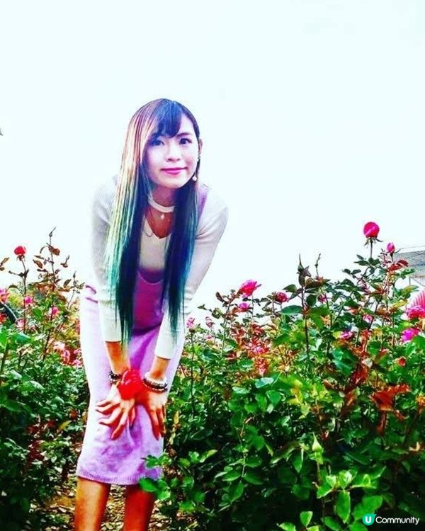 韓國奧林匹克公園