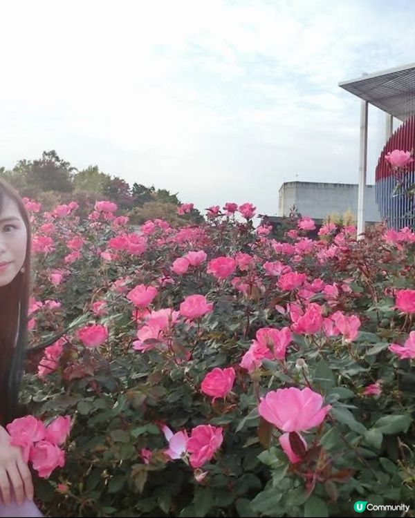 韓國奧林匹克公園