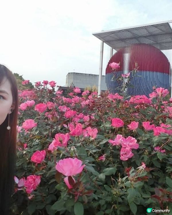 韓國奧林匹克公園