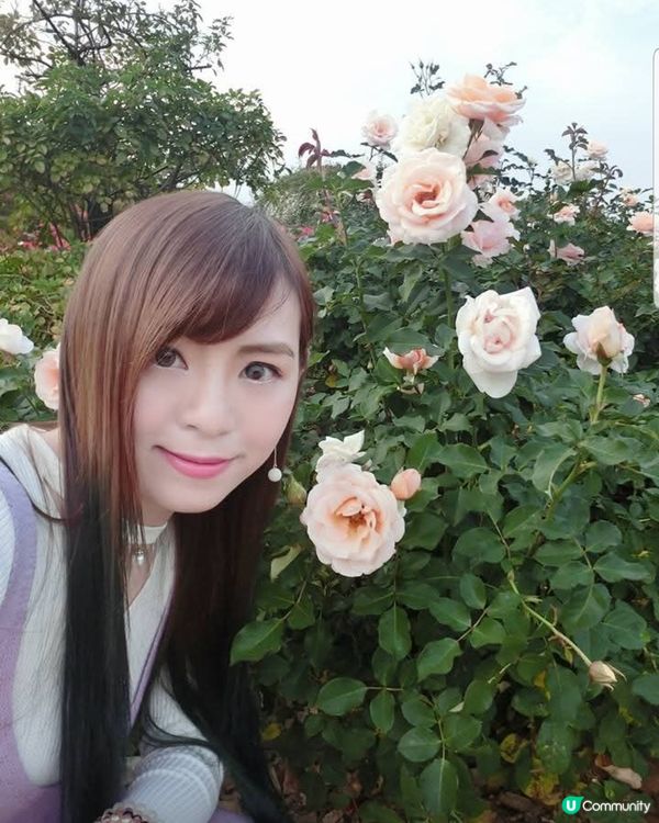 韓國奧林匹克公園