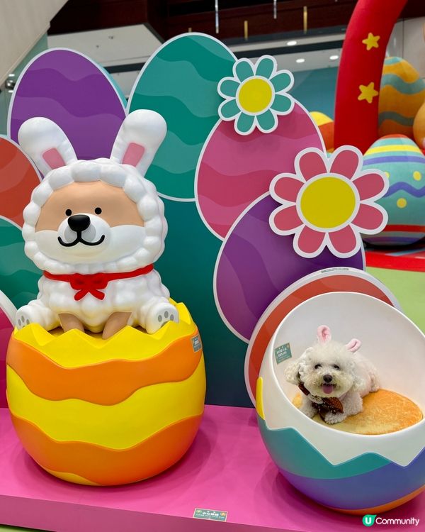 復活節青衣城，巨犬陪你萌！🐶📸