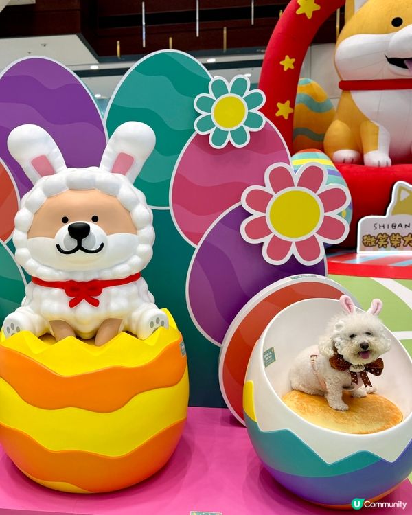 復活節青衣城，巨犬陪你萌！🐶📸