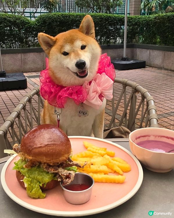 軟殼蟹漢堡配牛油果醬及薯條,  餐湯係紫薯湯, 我飲蘋果汁.