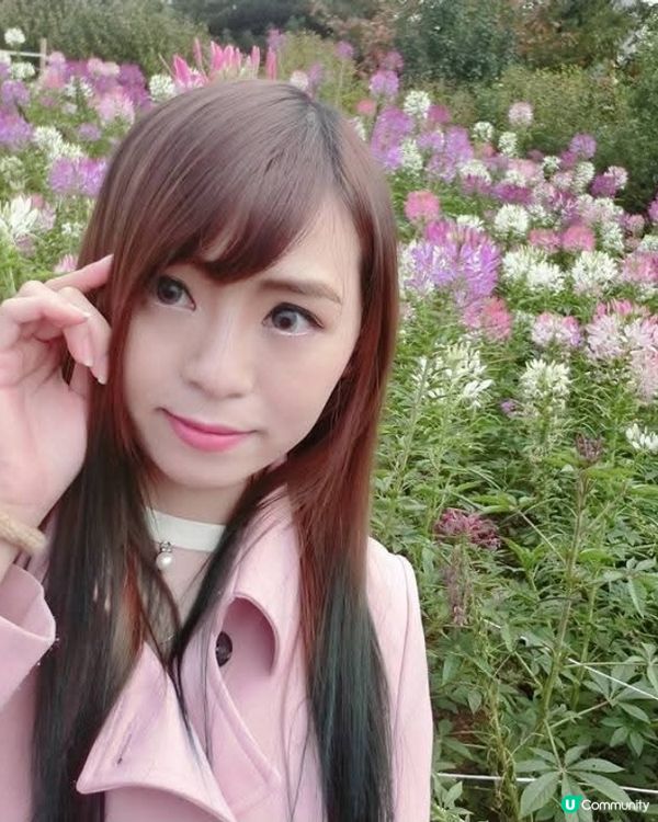 韓國奧林匹克公園