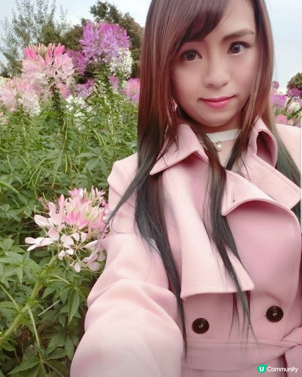 韓國奧林匹克公園