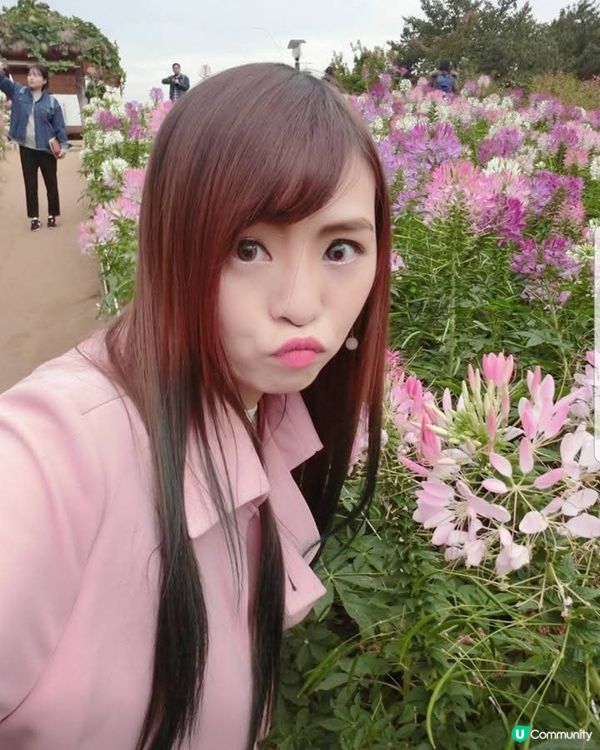 韓國奧林匹克公園
