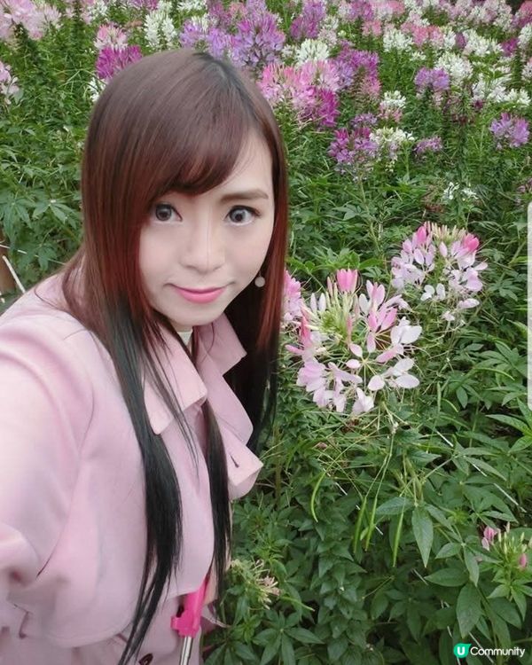 韓國奧林匹克公園