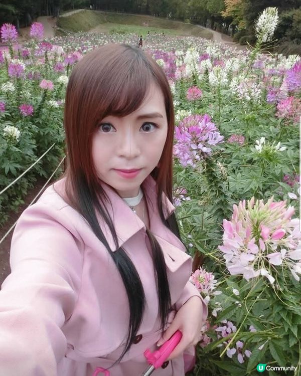 韓國奧林匹克公園