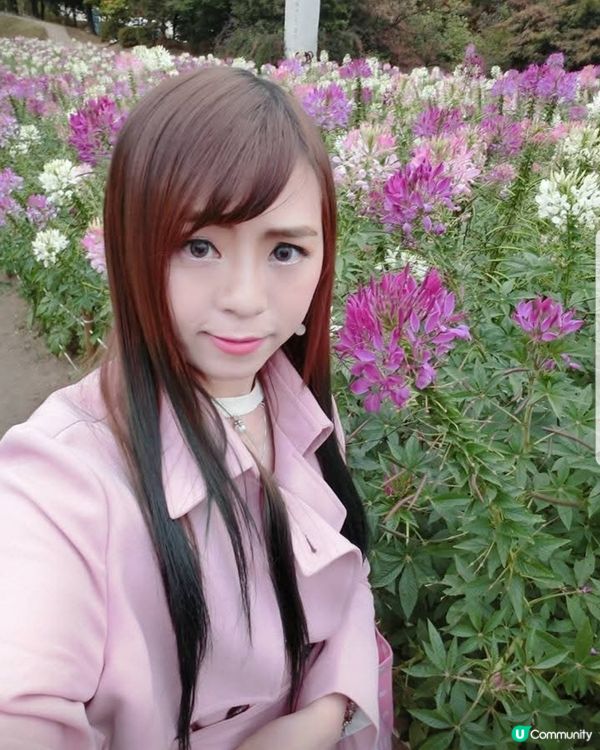 韓國奧林匹克公園