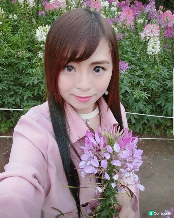 韓國奧林匹克公園