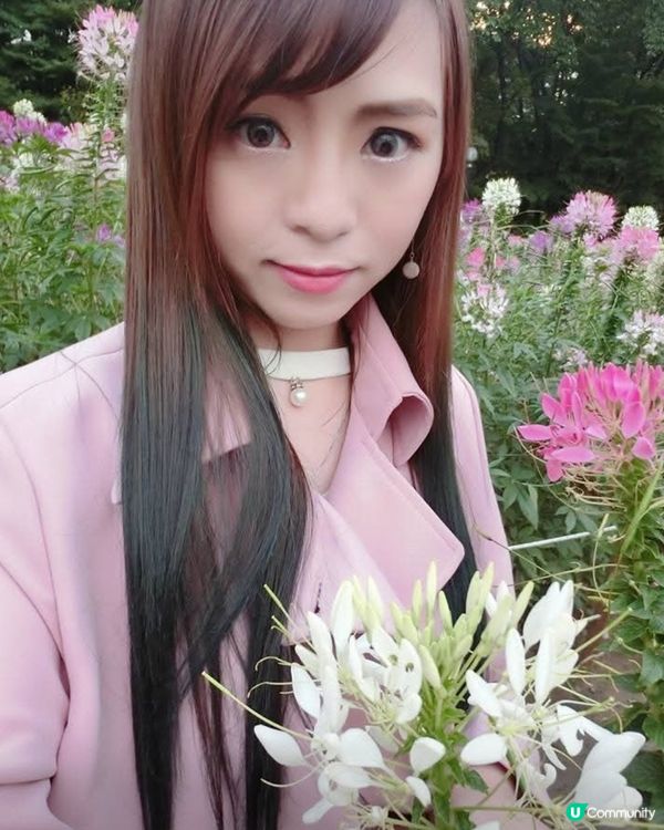 韓國奧林匹克公園