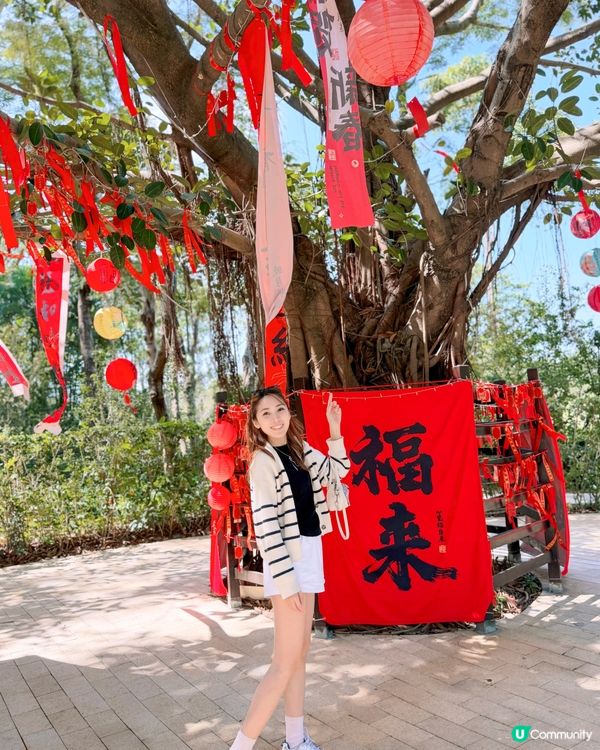 北上Relax打golf⛳️隱秀山居享哥爾夫球景景😎⛰️