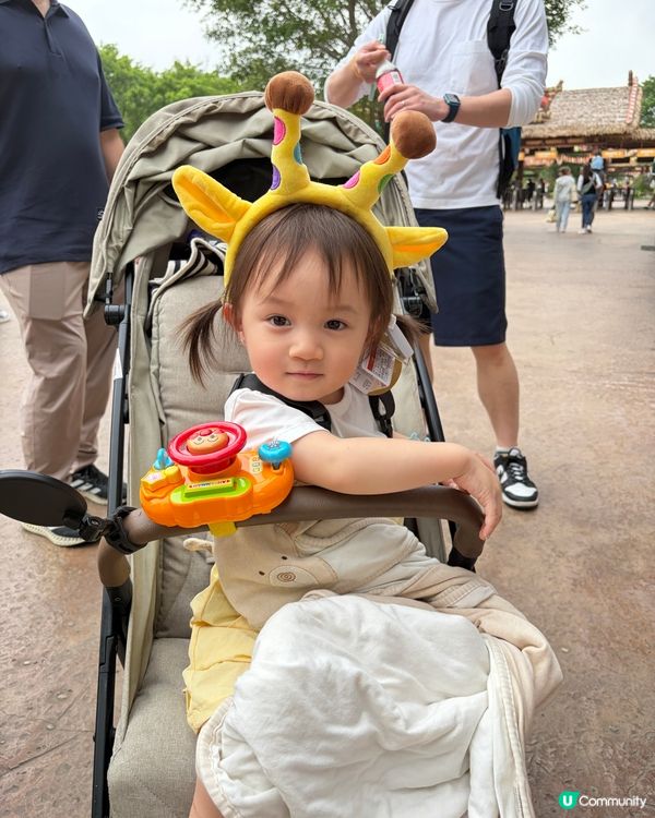 長隆親子遊｜入住森林童話🏰🦒｜開心到唔想走！🥳