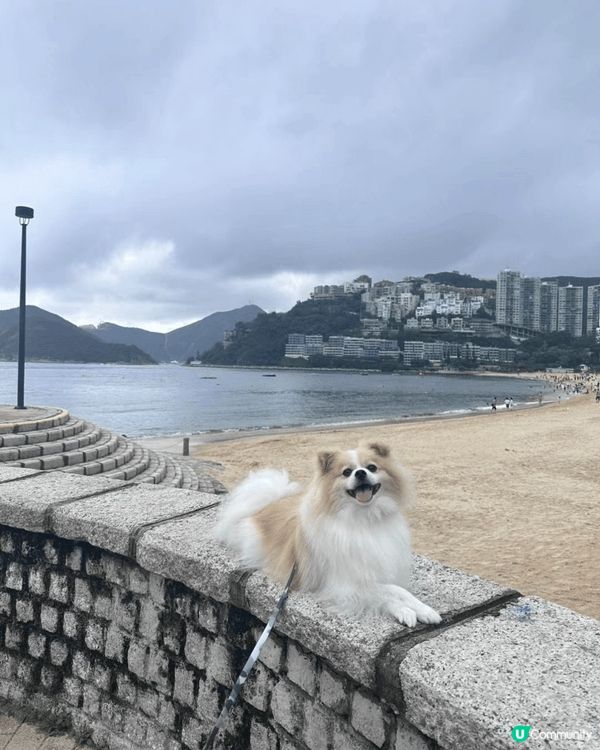 Pizza仔今年五歲，媽媽經常帶佢周圍玩，上山下海完全冇問題...