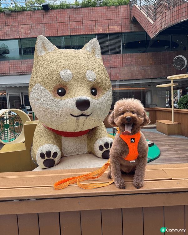 🐶: 媽媽話香港真正Pat Friendly嘅地方真係好少,...