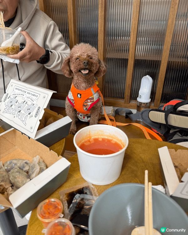 🐶: 媽媽話香港真正Pat Friendly嘅地方真係好少,...