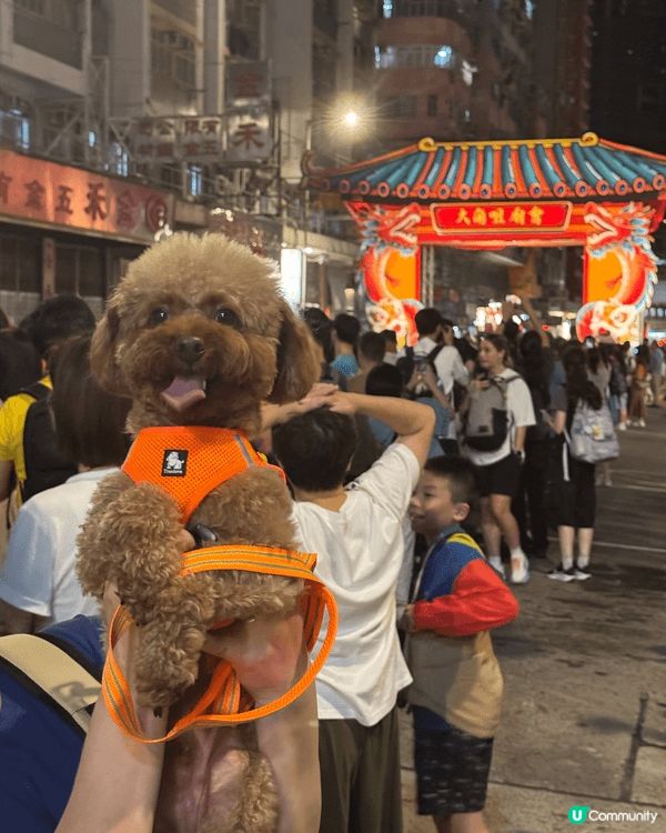 🐶: 媽媽話香港真正Pat Friendly嘅地方真係好少,...