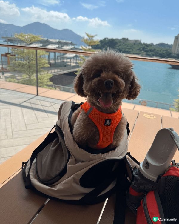 🐶: 媽媽話香港真正Pat Friendly嘅地方真係好少,...