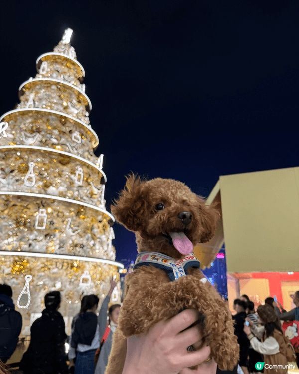 🐶: 媽媽話香港真正Pat Friendly嘅地方真係好少,...