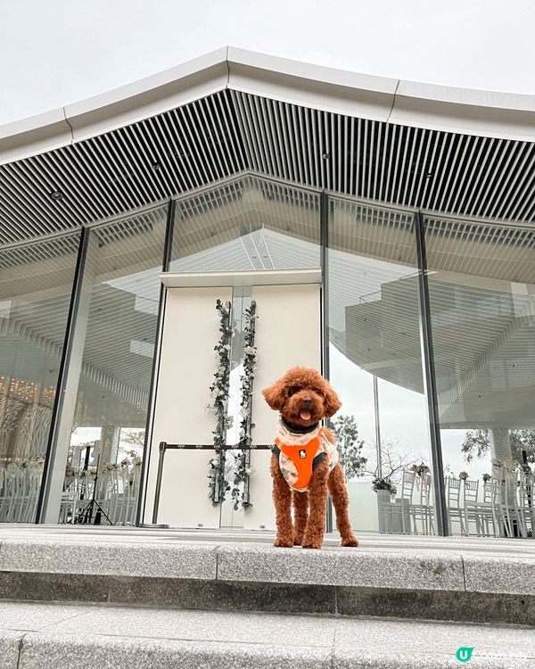 🐶: 媽媽話香港真正Pat Friendly嘅地方真係好少,...