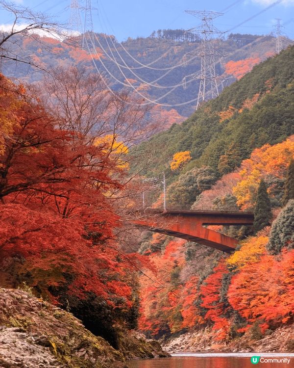 嵐山，保津川遊船體驗