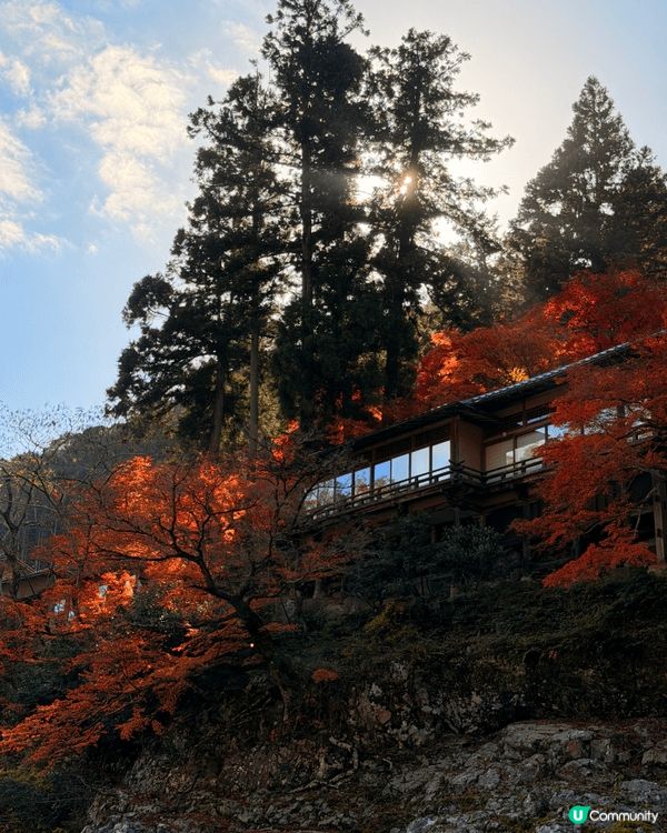嵐山，保津川遊船體驗