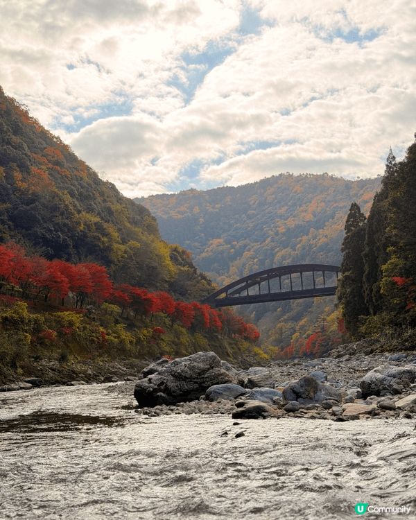 嵐山，保津川遊船體驗