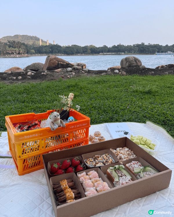 去大嶼山迪欣湖野餐，真的超chill！